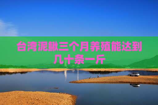 台湾泥鳅三个月养殖能达到几十条一斤 台湾泥鳅三个月养殖能达到几十条一斤