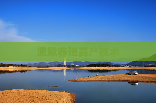 泥鳅养殖高产技术