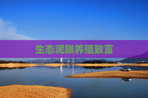 生态泥鳅养殖致富