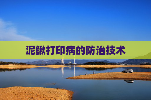 泥鳅打印病的防治技术