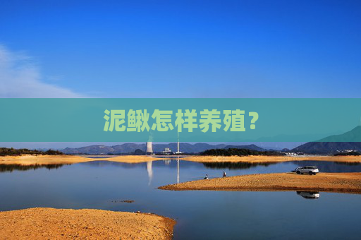 泥鳅怎样养殖? 泥鳅怎样养殖?