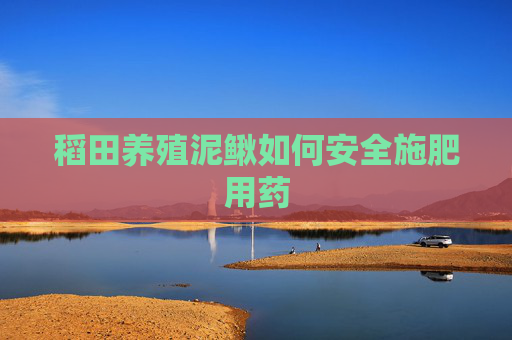 稻田养殖泥鳅如何安全施肥用药