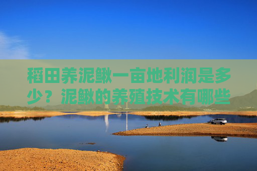 稻田养泥鳅一亩地利润是多少？泥鳅的养殖技术有哪些？