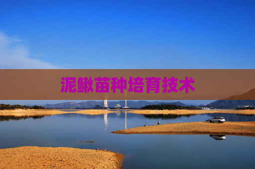 泥鳅苗种培育技术