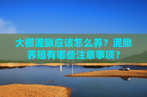 大棚泥鳅应该怎么养？泥鳅养殖有哪些注意事项？