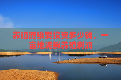 养殖泥鳅要投资多少钱，一亩地泥鳅养殖利润