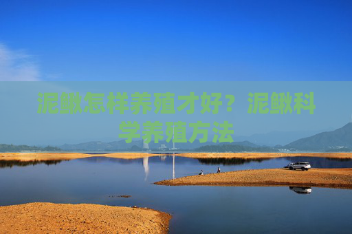泥鳅怎样养殖才好？泥鳅科学养殖方法