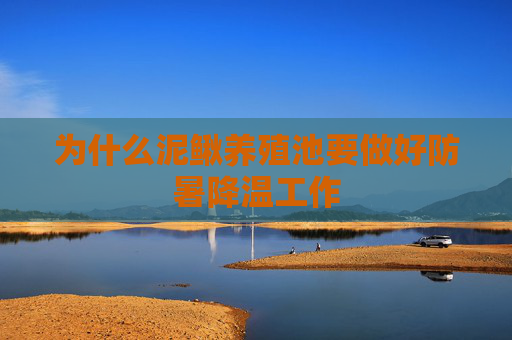 为什么泥鳅养殖池要做好防暑降温工作