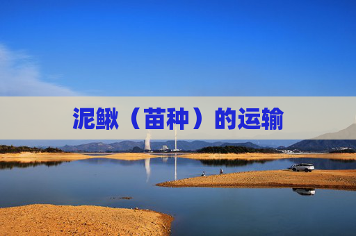 泥鳅（苗种）的运输