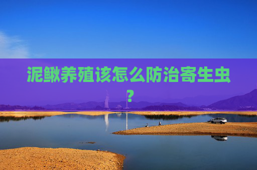 泥鳅养殖该怎么防治寄生虫？