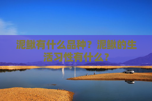 泥鳅有什么品种？泥鳅的生活习性有什么？