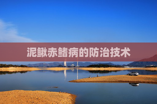 泥鳅赤鳍病的防治技术