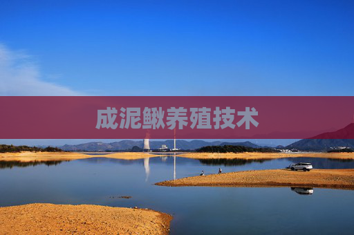 成泥鳅养殖技术