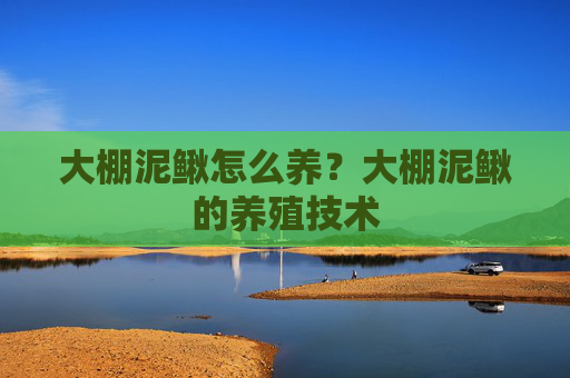 大棚泥鳅怎么养？大棚泥鳅的养殖技术
