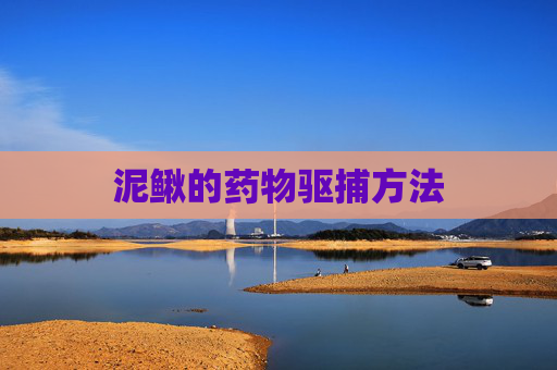 泥鳅的药物驱捕方法