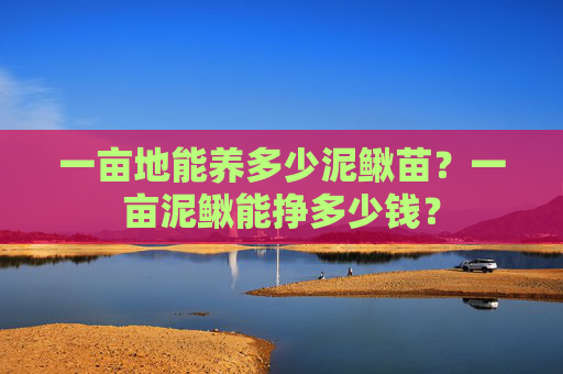 一亩地能养多少泥鳅苗？一亩泥鳅能挣多少钱？